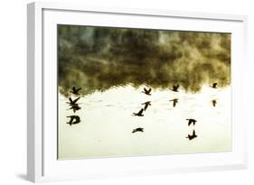 Geese on the Lake I-Alan Hausenflock-Framed Photographic Print