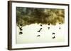 Geese on the Lake I-Alan Hausenflock-Framed Photographic Print