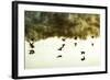 Geese on the Lake I-Alan Hausenflock-Framed Photographic Print