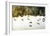 Geese on the Lake II-Alan Hausenflock-Framed Photographic Print