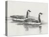 Geese Study I-Ethan Harper-Stretched Canvas