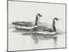 Geese Study I-Ethan Harper-Mounted Art Print