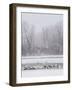 Geese, Swans and Ducks at Pond Near Jackson, Wyoming-Howie Garber-Framed Photographic Print