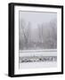 Geese, Swans and Ducks at Pond Near Jackson, Wyoming-Howie Garber-Framed Photographic Print