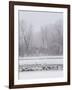 Geese, Swans and Ducks at Pond Near Jackson, Wyoming-Howie Garber-Framed Photographic Print