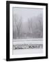 Geese, Swans and Ducks at Pond Near Jackson, Wyoming-Howie Garber-Framed Photographic Print