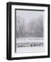 Geese, Swans and Ducks at Pond Near Jackson, Wyoming-Howie Garber-Framed Photographic Print