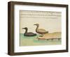 Geese-null-Framed Giclee Print