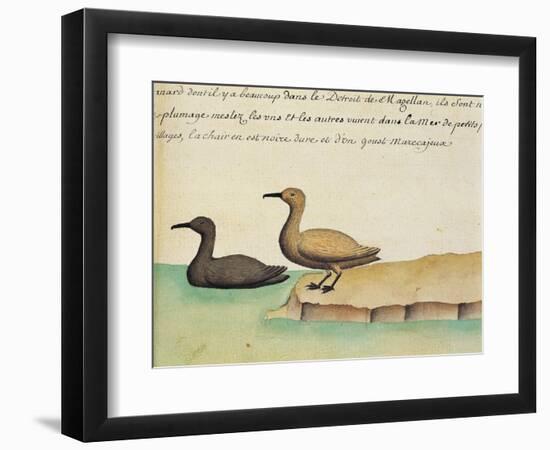 Geese-null-Framed Giclee Print