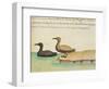 Geese-null-Framed Giclee Print