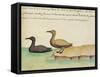 Geese-null-Framed Stretched Canvas