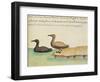 Geese-null-Framed Premium Giclee Print