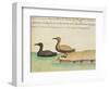 Geese-null-Framed Premium Giclee Print