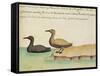 Geese-null-Framed Stretched Canvas