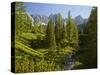 Gei§bach Brook, Miemingen Mountains, Tyrol, Austria-Rainer Mirau-Stretched Canvas