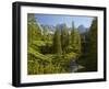 Gei§bach Brook, Miemingen Mountains, Tyrol, Austria-Rainer Mirau-Framed Photographic Print