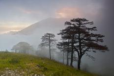 River Delta at Dawn, Karavasta Lagoons National Park, Albania, June 2009-Geidemark-Photographic Print