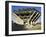 Geisel Library in University College San Diego, La Jolla, California, USA-Richard Cummins-Framed Photographic Print