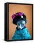 Geisha Cat-zinchik-Framed Stretched Canvas