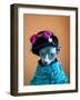 Geisha Cat-zinchik-Framed Photographic Print