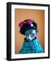 Geisha Cat-zinchik-Framed Photographic Print