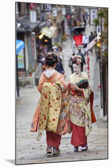 Geisha, Kyoto, Japan-Peter Adams-Mounted Photographic Print