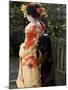 Geisha, Maiko in Gion, Kyoto City, Honshu, Japan-Christian Kober-Mounted Photographic Print