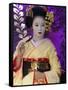 Geisha, Maiko in Gion, Kyoto City, Honshu, Japan-Christian Kober-Framed Stretched Canvas