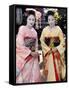 Geisha, Maiko (Trainee Geisha) in Gion, Kyoto City, Honshu, Japan-Christian Kober-Framed Stretched Canvas