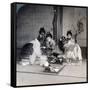 Geishas at Dinner, Tokyo, Japan, 1904-Underwood & Underwood-Framed Stretched Canvas