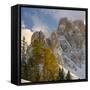 Geisler mountain range in the dolomites of the Villnoss Valley in South Tyrol, Alto Adige-Martin Zwick-Framed Stretched Canvas