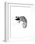 Gekko-null-Framed Art Print