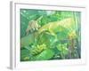 Gekko-William Ireland-Framed Giclee Print