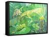 Gekko-William Ireland-Framed Stretched Canvas