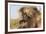 Gelada Baboon (Theropithecus Gelada)-Gabrielle and Michel Therin-Weise-Framed Photographic Print