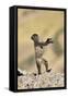 Gelada Baboon Young Standing on Hind Legs-null-Framed Stretched Canvas