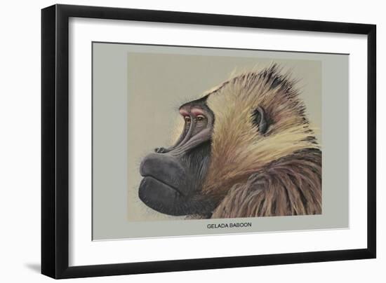 Gelada Baboon-Louis Agassiz Fuertes-Framed Art Print