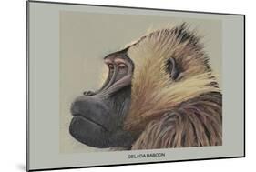 Gelada Baboon-Louis Agassiz Fuertes-Mounted Art Print