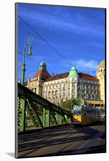 Gellert Hotel and Spa, Liberty Bridge and Tram, Budapest, Hungary, Europe-Neil Farrin-Mounted Photographic Print