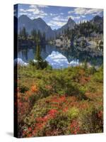 Gem Lake, Alpine Lakes Wilderness, Washington, Usa-Jamie & Judy Wild-Stretched Canvas