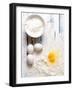 Gemelli-Luiz Laercio-Framed Photographic Print