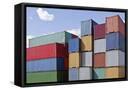 Framed Canvas