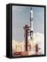 Gemini 12 Space Capsule-null-Framed Stretched Canvas