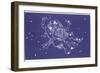 Gemini-Roberta Norton-Framed Photographic Print