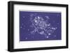 Gemini-Roberta Norton-Framed Photographic Print