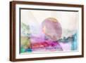 Brown Frame