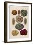 Gems Embedded in Rocks-null-Framed Art Print