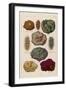 Gems Embedded in Rocks-null-Framed Art Print