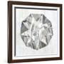 Gems II-PI Studio-Framed Art Print