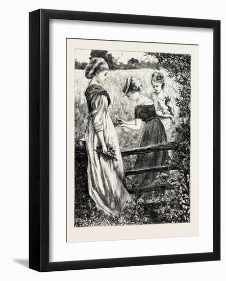 Gems of the Changing Autumn-null-Framed Giclee Print